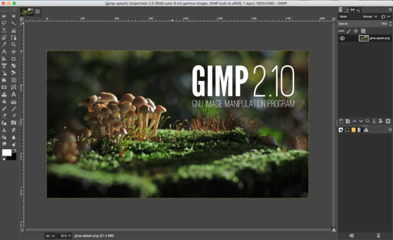 GIMP (GNU IMAGE MANIPULATION PROGRAM)